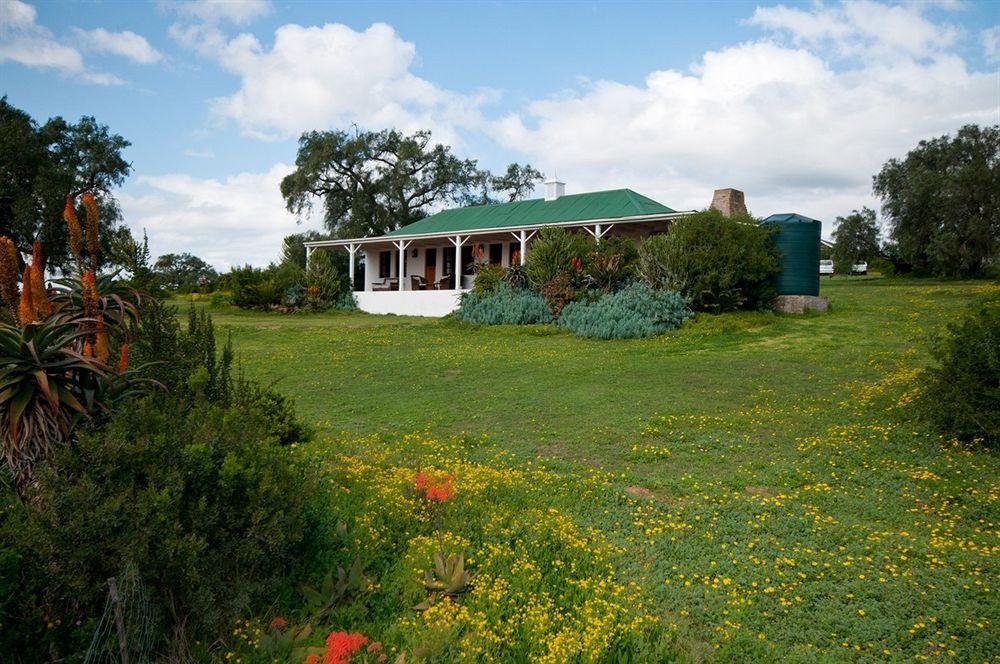 Leeuwenbosch Country House - Amakhala Game Reserve Exteriér fotografie