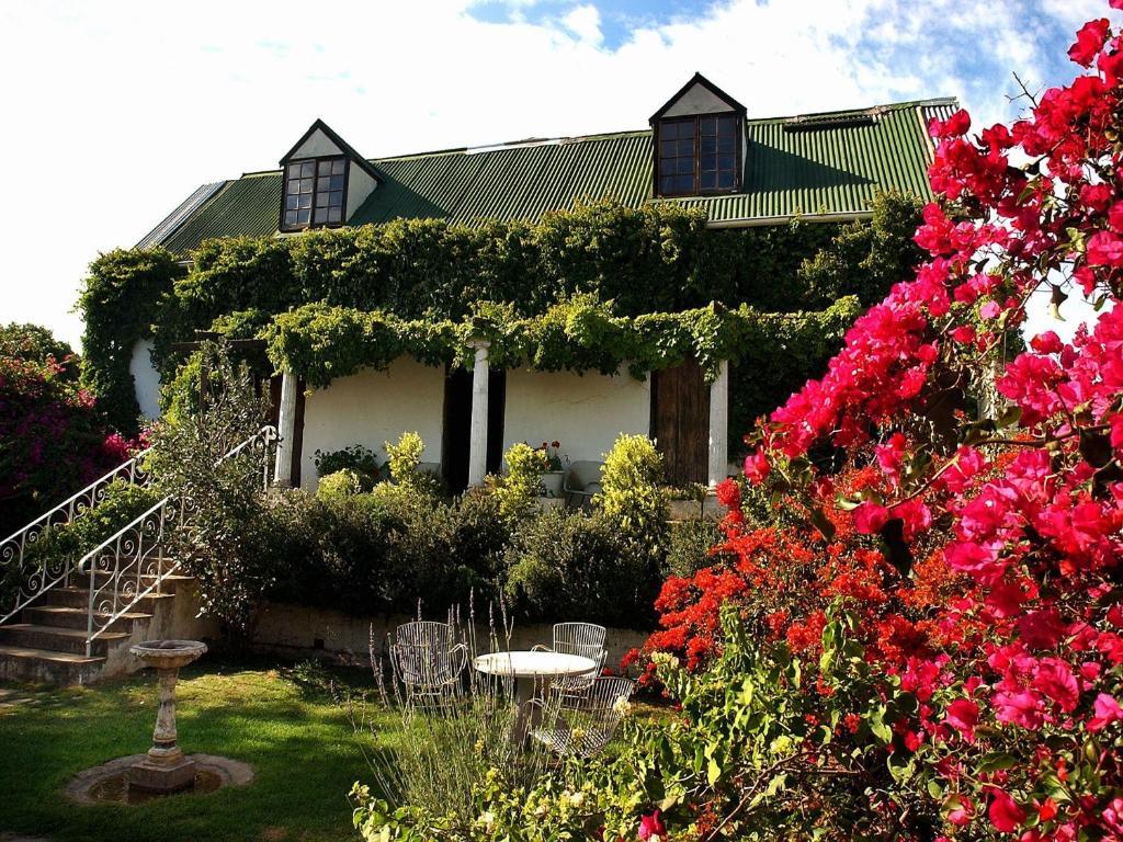 Leeuwenbosch Country House - Amakhala Game Reserve Exteriér fotografie