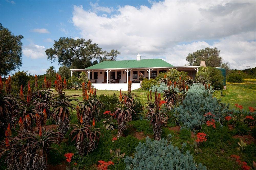 Leeuwenbosch Country House - Amakhala Game Reserve Exteriér fotografie
