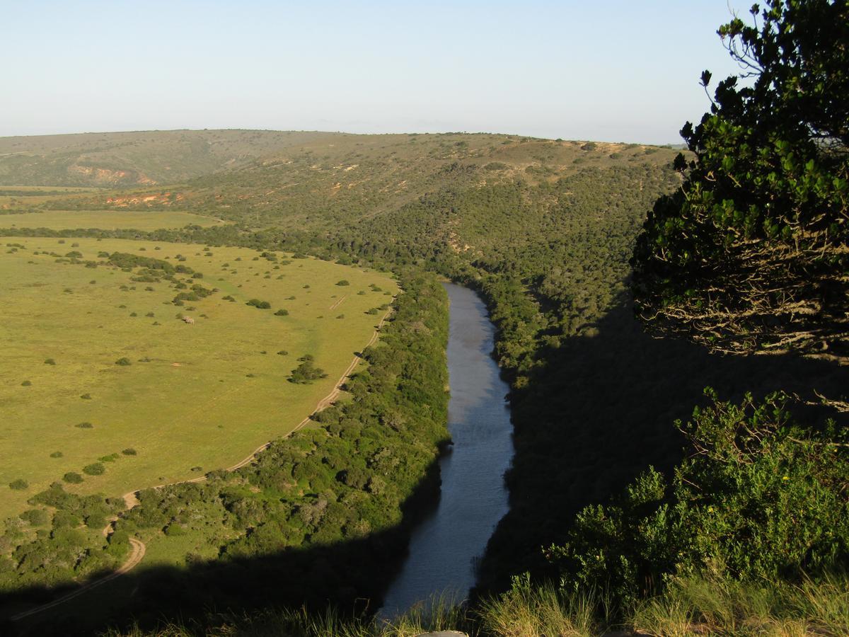 Leeuwenbosch Country House - Amakhala Game Reserve Exteriér fotografie