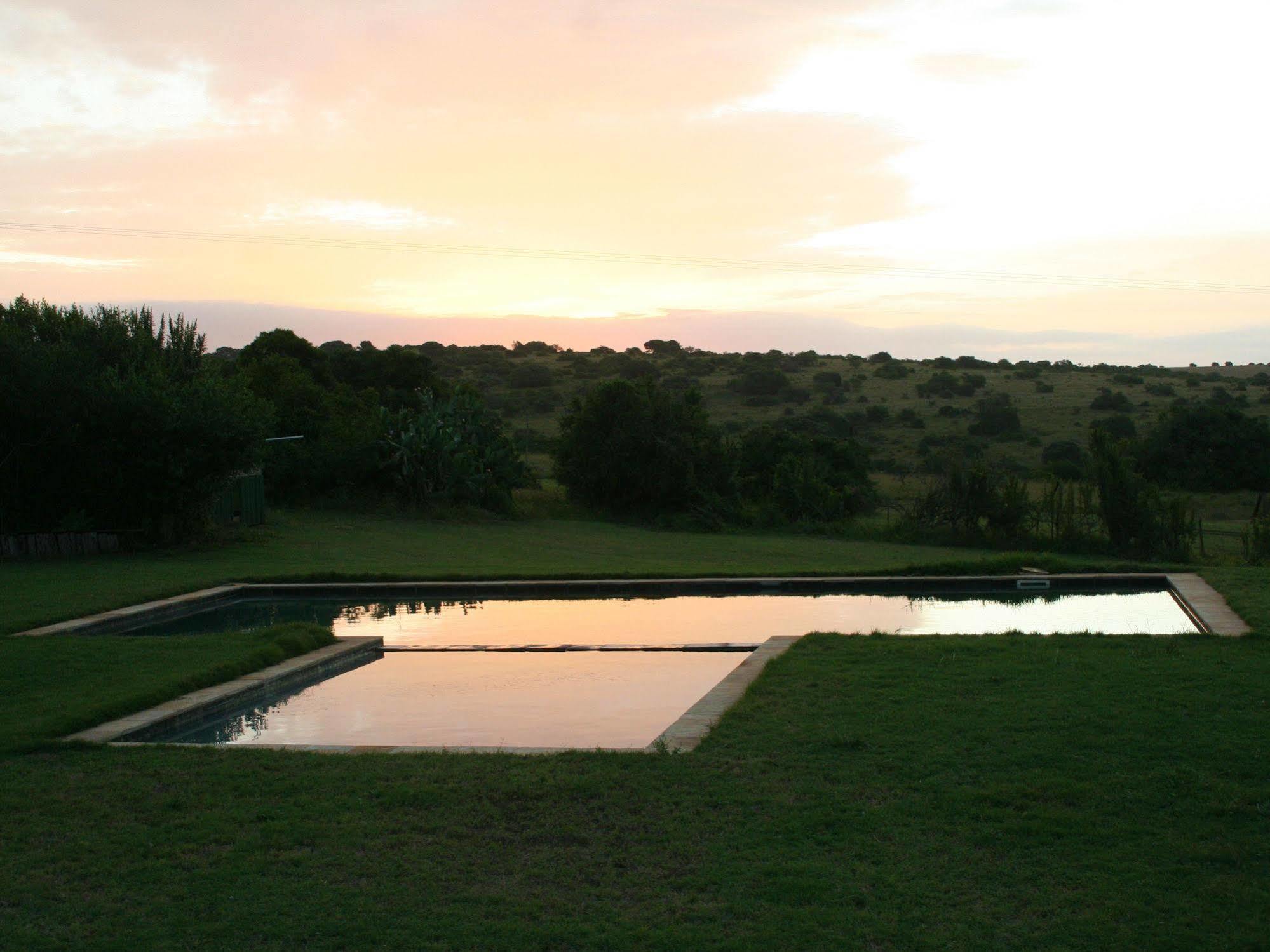 Leeuwenbosch Country House - Amakhala Game Reserve Exteriér fotografie