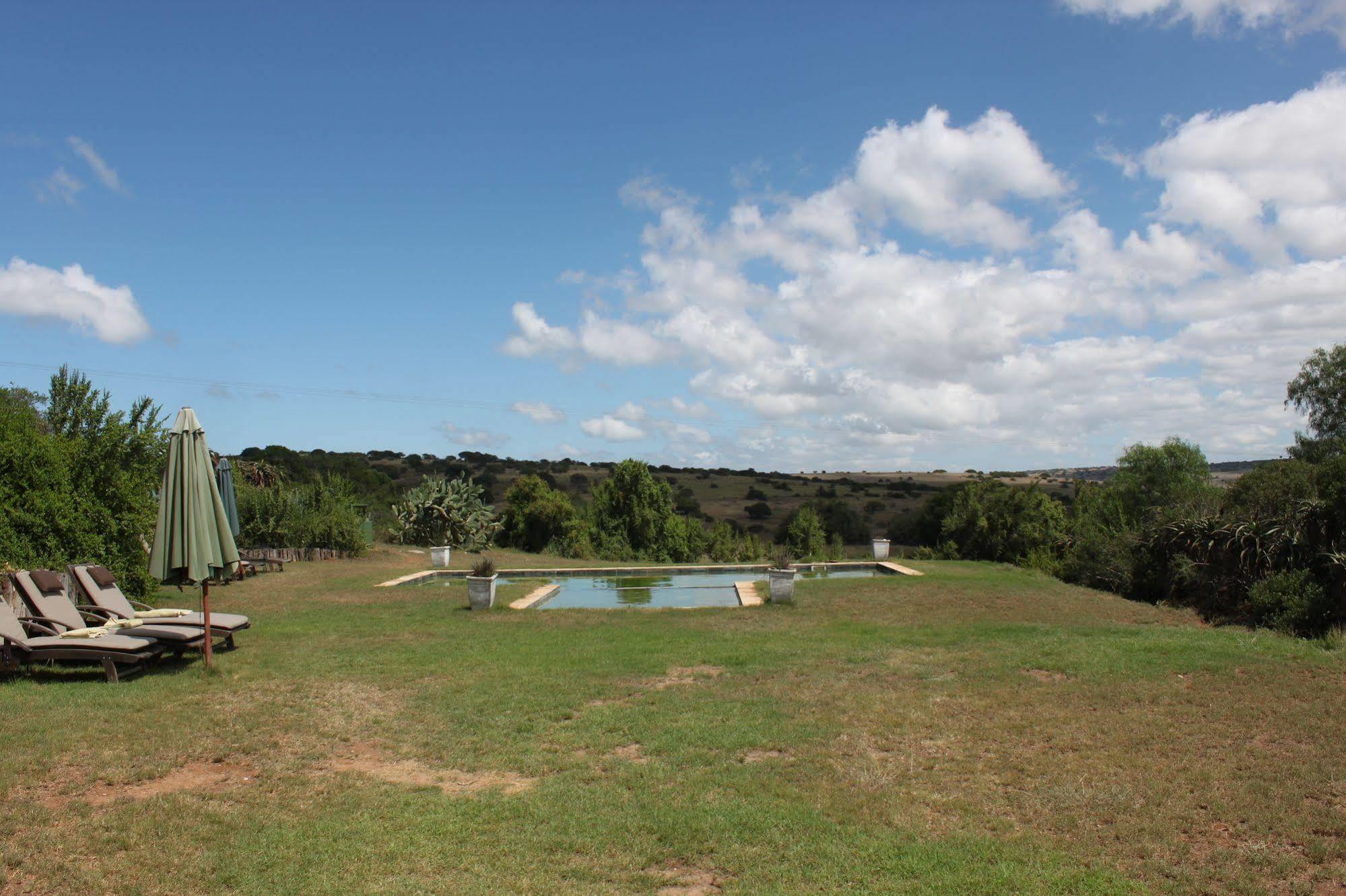 Leeuwenbosch Country House - Amakhala Game Reserve Exteriér fotografie