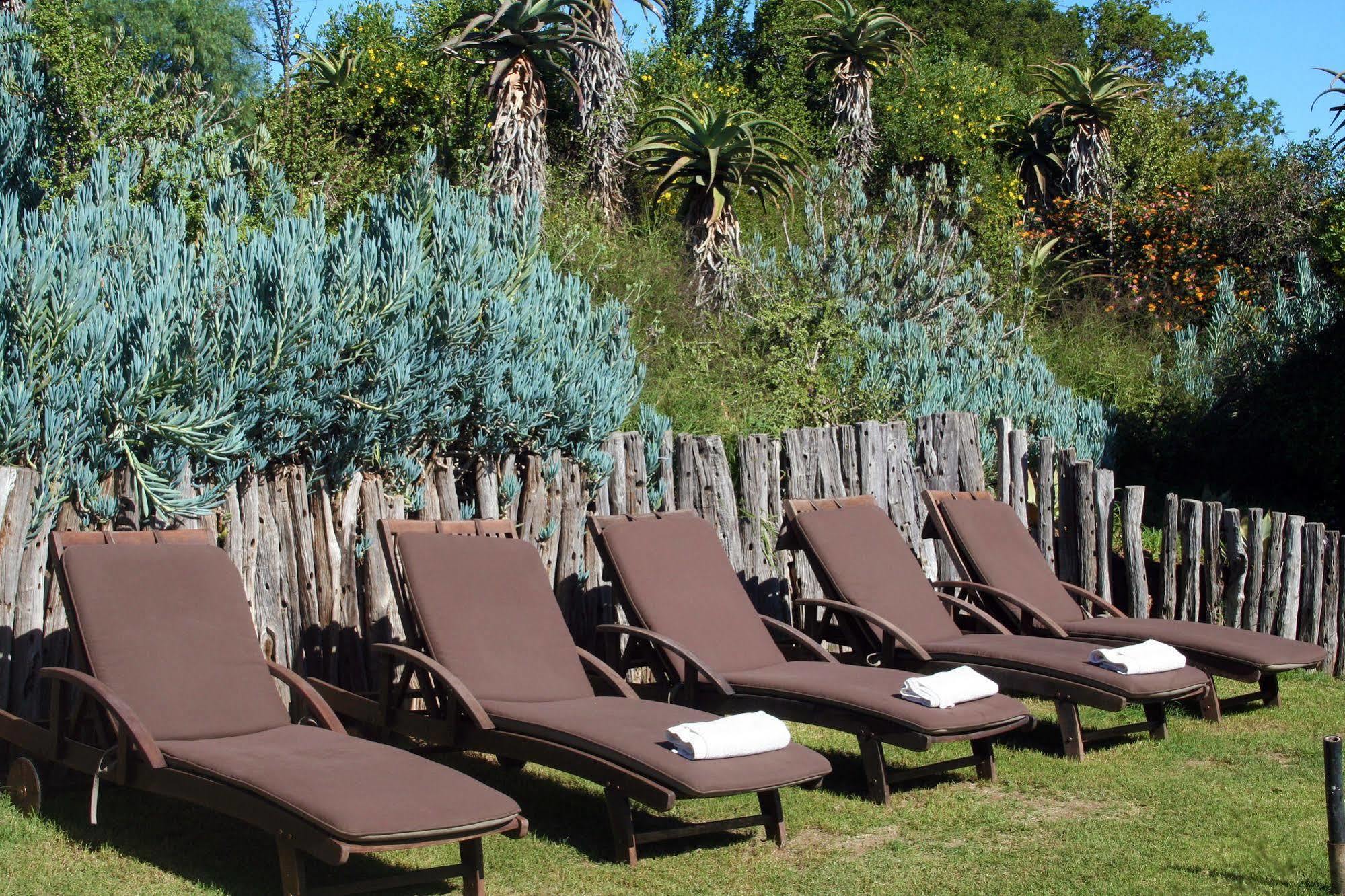Leeuwenbosch Country House - Amakhala Game Reserve Exteriér fotografie
